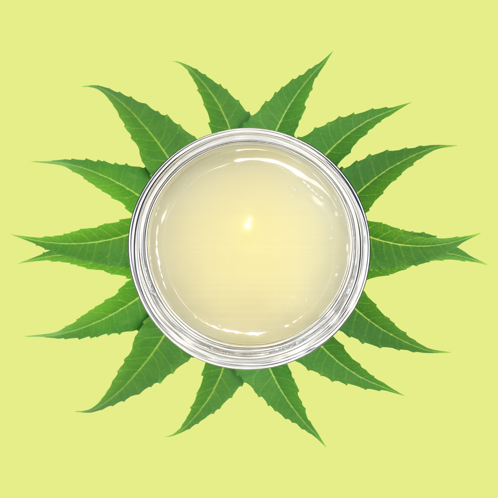 Jelly Care - Shampooing Purifiant à l'Huile de Neem