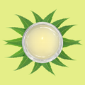 JELLY CARE – Shampooing Purifiant